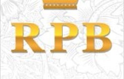 Открыт Партнерский канал RPB Company