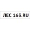 Строительство каркасных домов от "Лес163.ру"